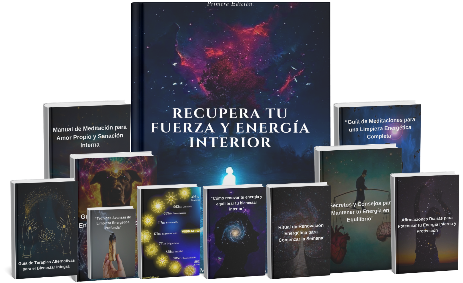 Paquete Completo con los 10 Bonos